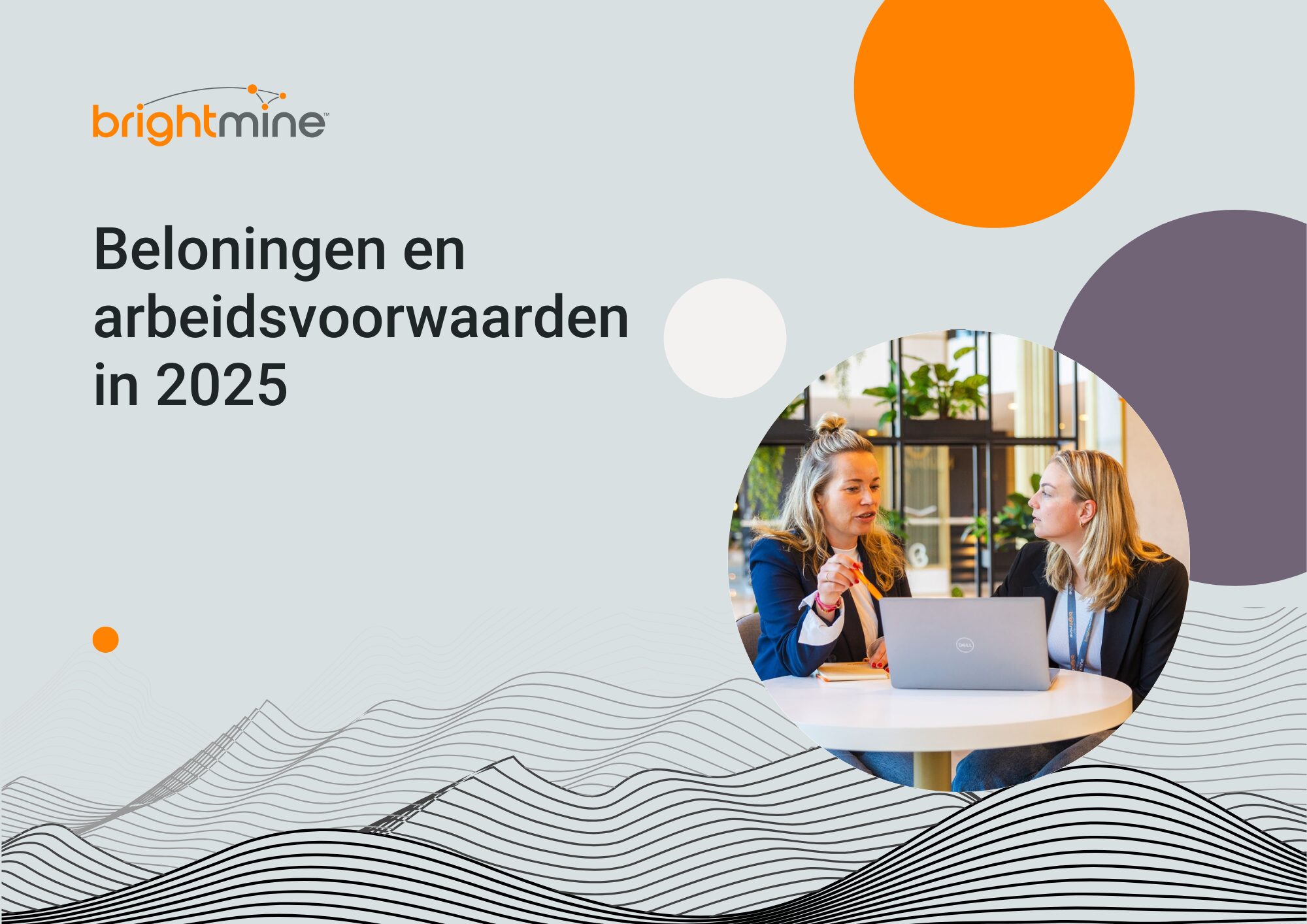 Brightmine-Benchmark onderzoek belonen 2025